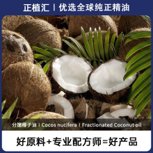正植汇 进口分馏椰子油 马来西亚 化妆品植物原料 美容按摩基础油