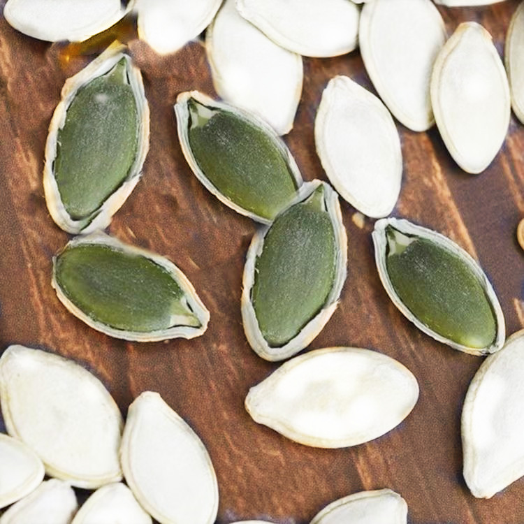 微信图片_202204191559581_副本