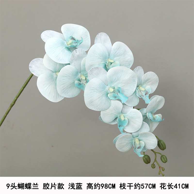9-head film waterproof phalaenopsis-blue "thickened"