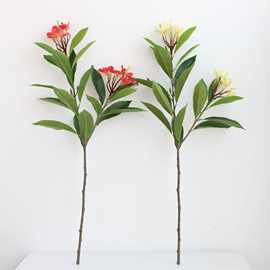 仿真2叉鸡蛋花单支 手感假花家居插花装饰园林造景嫁接鸡蛋花树叶
