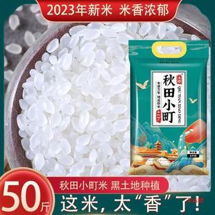 ����С���10kg�|������������з����50�� 2023�����׈A������y