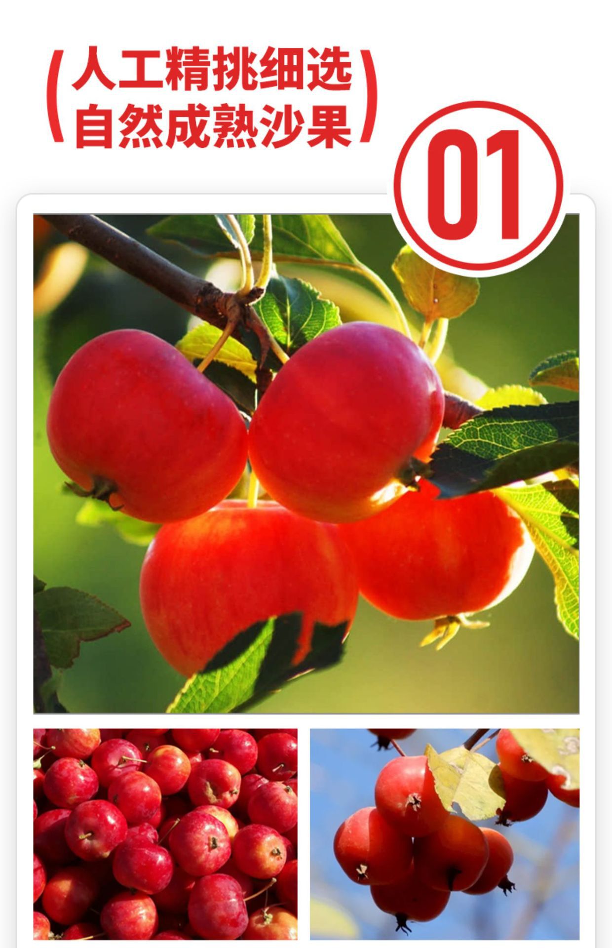 Dried Chinese Crabapple Fruit Sha Guo 500g Sweet and Tangy Dried Fruit Snack from Zhalantun Hulunbuir key features