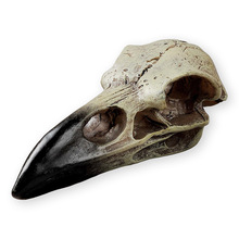 亚马逊新款乌鸦头骨哥特式乌鸦装饰雕像动物鸟头骨面具项链吊坠潮