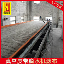 聚酯脱硫网带 真空皮带脱水机滤布 水平带式真空过滤机滤带滤布