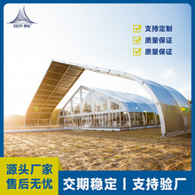 欧式德国大棚仓库储存工业帐篷50米大跨度铝合金弯柱篷房支持定制
