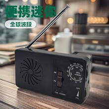 ս��Ӧ�������������Я FM/AM ˫���θɵ�ع�����ֻ���������
