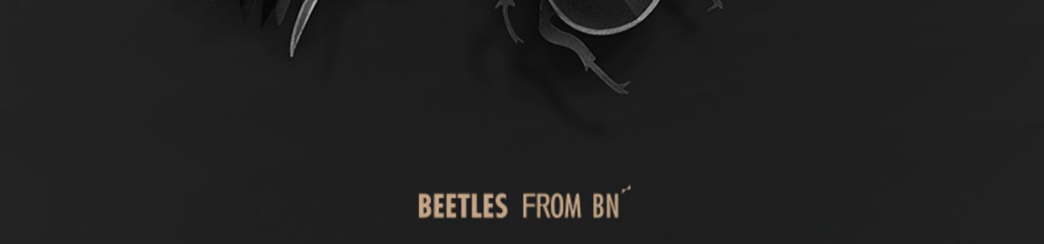 BN Beetle Boxing Professional Sanda Fighting Gloves Training Protective Gear_voghion.com