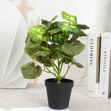 ����Gֲ�[���Ҿ��҃Ȕ[�O�b�Ʒ����Gֲ���Է���Gֲ�[��