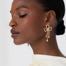 `ӻKhСºsˮ荶hWOӋ earrings