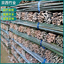 厂家批发2.5米-5米水竹 菜园搭架细竹杆毛竹竿 产地发货