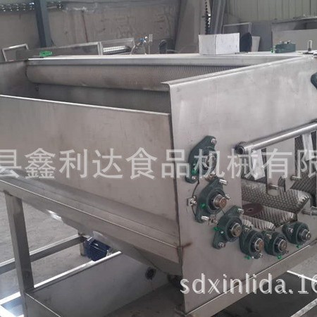 红枣抛光机 果蔬清洗抛光设备 大枣清洗机 蔬菜毛辊清洗机