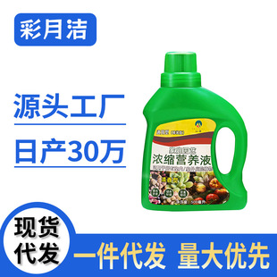 Home standing plant nutrient solution flower foliar fertilizer green plant fertilizer foliar fertilizer concentrated nutrient solution in stock wholesale