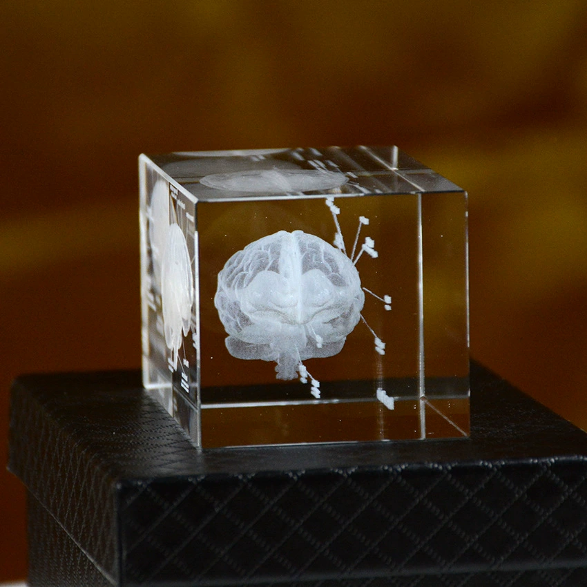 Сердце, минифигура, образец медицины, 3D, анатомия