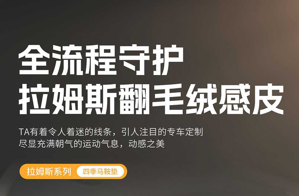 Byd Seal 05Dmi Special Car Seat Cover, Universal for All Seasons, Saddle Cushion, Rams Seat Cover