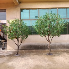 ����Gֲ�R��ľܛ�b���^����c�Ƶ�e���쾰�b��҃�����ؼ٘�