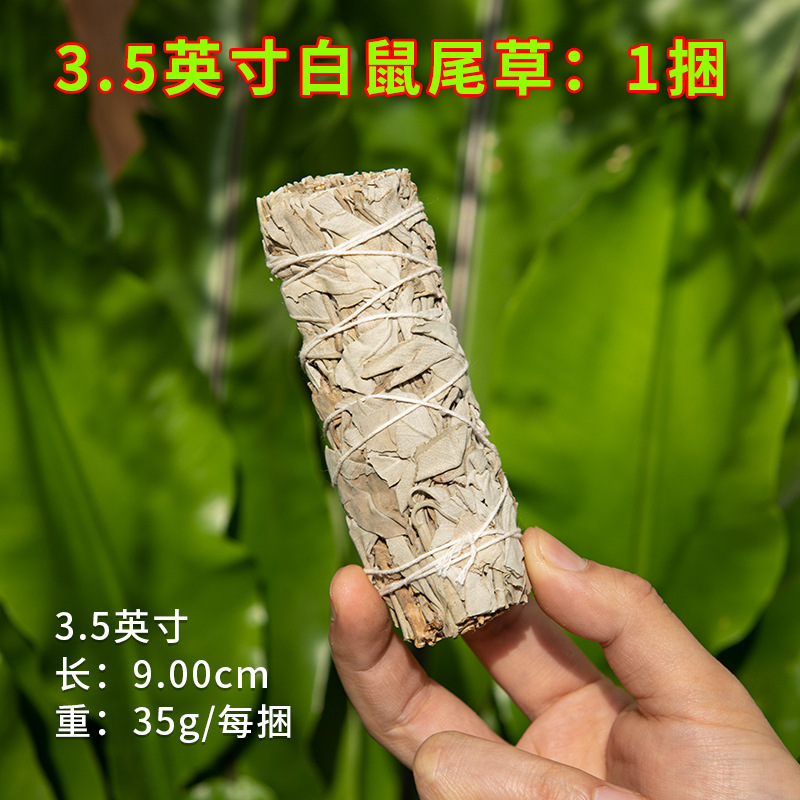国境を越えた卸売り白鼠尾草青鼠尾草雪松杖聖木線香塔香アワビ殻などホワイトセージ|undefined