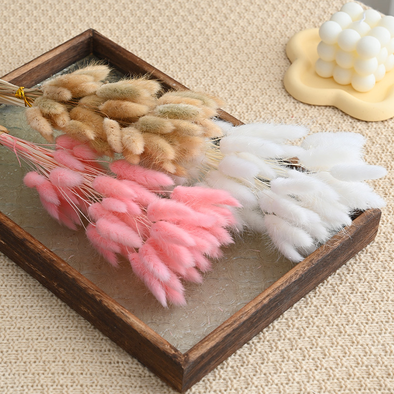 Ramos de flores secas flores verdaderas flores inmortales perro Ramos de cola de conejo al por mayor decoración del hogar props de disparo