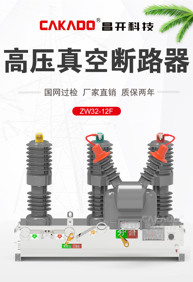 户外高压分界真空断路器