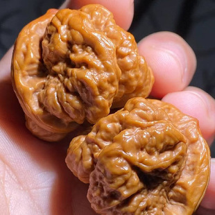 ��ֽ����������������Խ���ӑc����^����Ҙ����ϱ����Nֲ