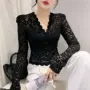 新款代发v领长袖蕾丝衫