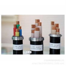 ˵͉|-YJV22-2*10mm²zb|