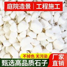 С��ʯ���Z��ʯСʯ�^�껨ʯ�����������ͥԺ�Ƶ��쾰�b���ɫ