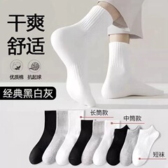男女同款纯色棉袜黑白灰净版袜子短中长筒四季款运动袜学生袜子男