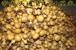 ���l�a��ֱ�N��Ȼ���J�ְ���С���J�F�������ͨ؛��؛���^���u