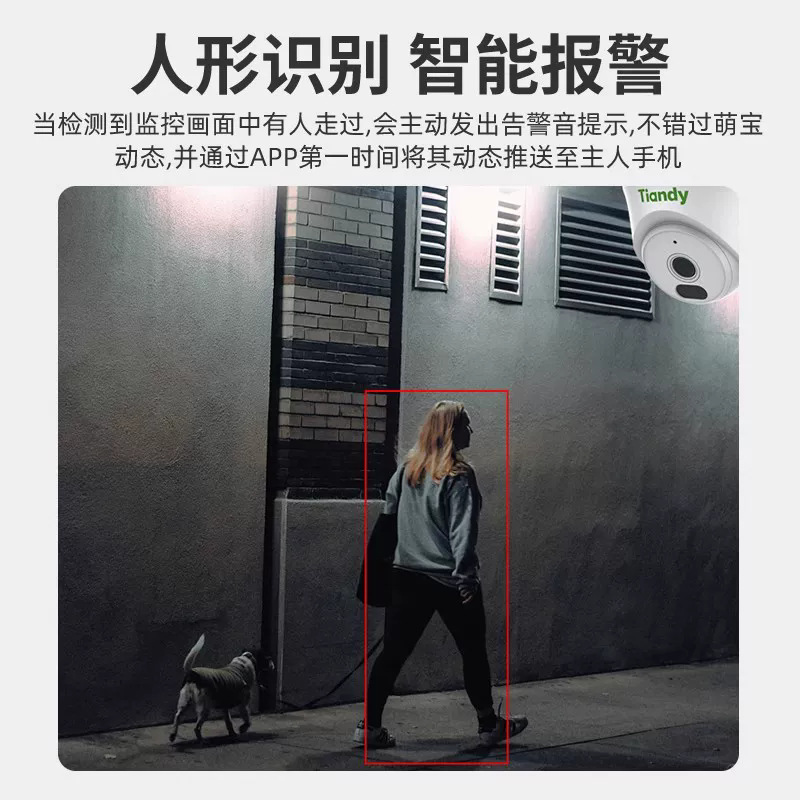 天地伟业网络摄像头POE家用室内外监控器摄影手机远程国际英文版