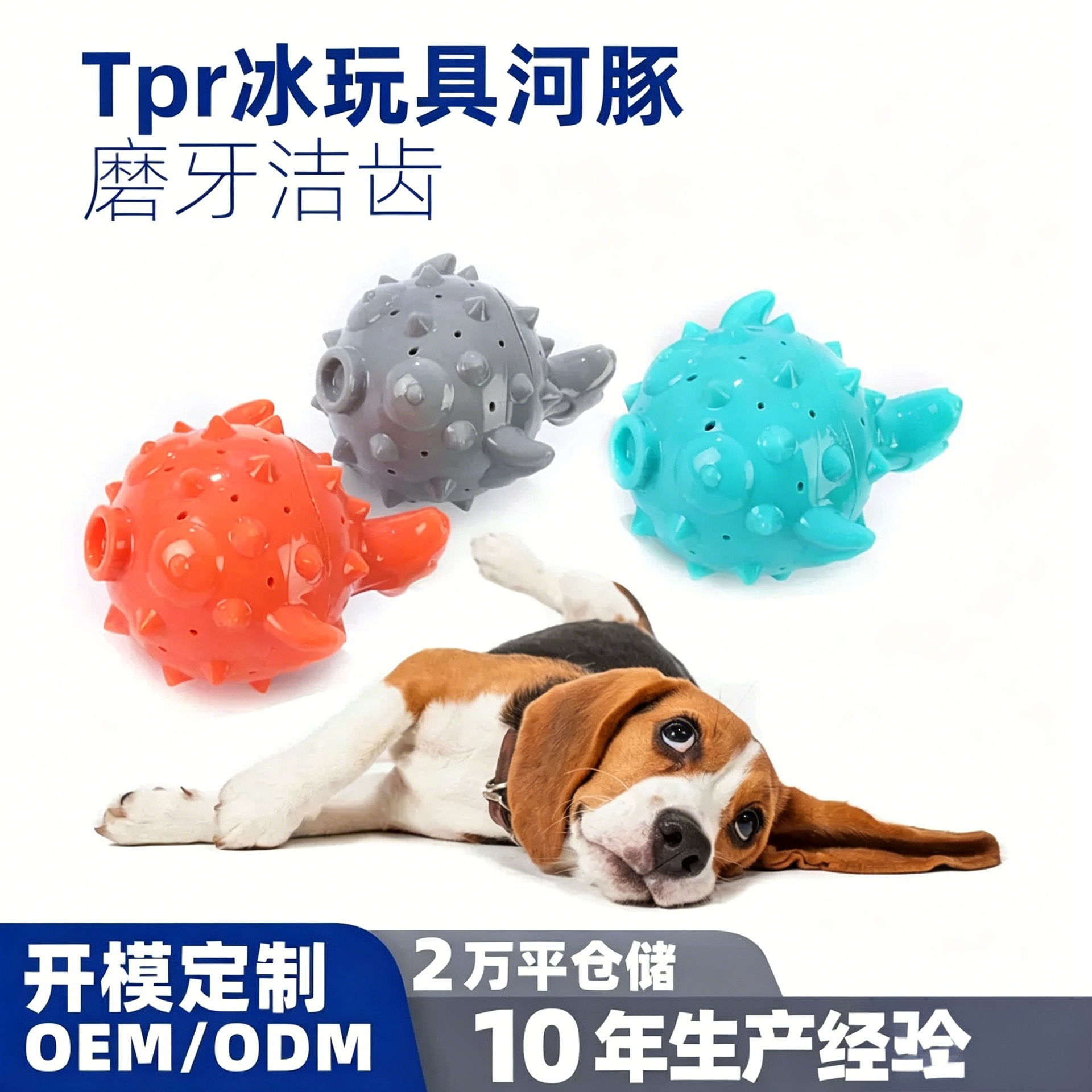 Interactive wear-resistant entertainment toy for training