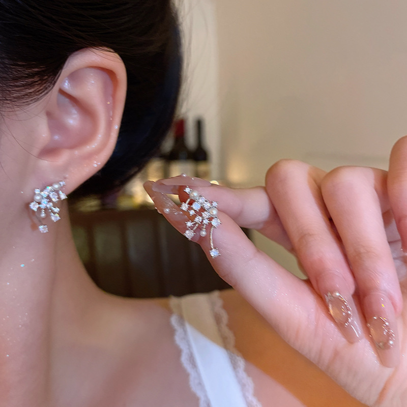 Korean Popular Exquisite Micro-Paved Zircon Bright Nebula Earrings for Women, Light Luxury Niche High-End Fireworks Earrings Earrings