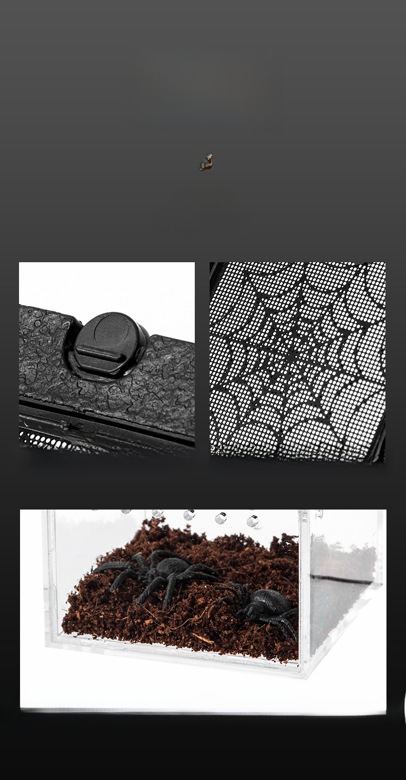 Reptile Habitat Box 8