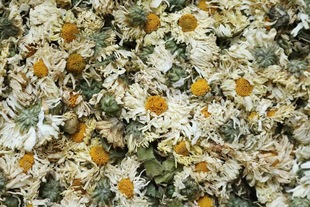 �ջ����z�ʾմ�仨�軨�ݲ�ջ����B����