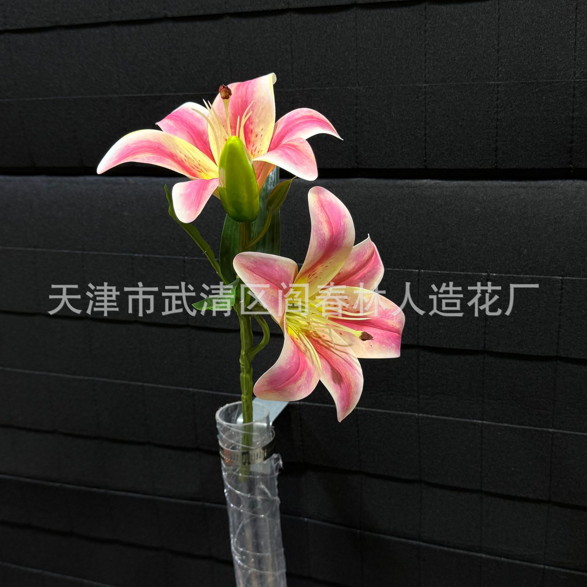 복숭아 가루