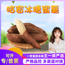 【严选】山东哈密冰糖蜜薯 白心蜜薯应季西新鲜可蒸烤应季生地瓜