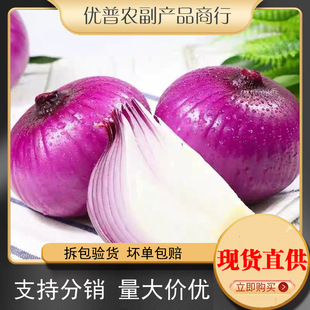 ������Ƥ���[�F�����r���[�^�tƤ�A�[СԪ�[�߲����[�^һ�����l
