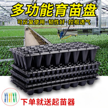 ����PѨ�P���������ϱ��Nֲ�I�B���߲˻������N�r��Ǥ���бP