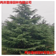 ľسѩ ҎRȫ̾G 󃞻ļLG