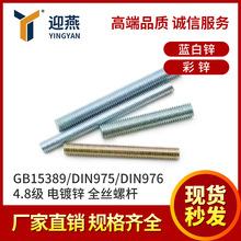 4.8�����l GB15389/DIN975/DIN976���\ȫ�ݼy�����z�U�ݗU