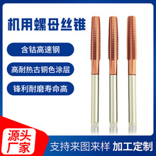 �C�ú����ĸ�z�F���P䓌���25T30T����ñ�z��M3-M12�՘˹���GH6