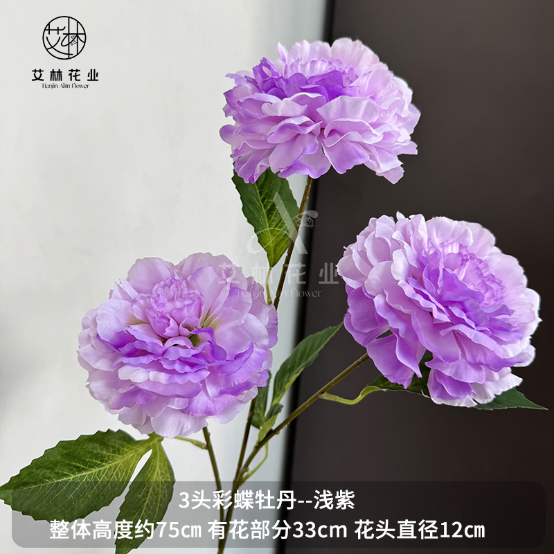 3 화려한 나비 모란 연한 보라색