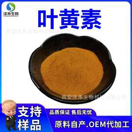 叶黄素 万寿菊提取物 5% 10%  20% 多种规格 厂家现货 沣禾生物