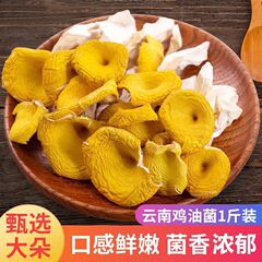 【鶏油菌乾燥品】スープ食材黄金茸雲南特山珍産杏黄菌黄糸菌食用楡黄