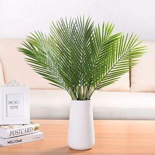 �羳�F؛����ɢβ���~Ƭ�Gɫ�ؙ��~Ƭ�F��廨��Ƭ����ֲ��b�