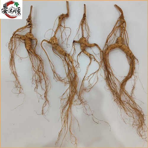 Lushan Seed Ginseng Dry Goods Over 20 Years Old, Loose Mountain Ginseng Powder for Wine Brewing and Soup Cooking, Factory Wholesale, Lushan Dry Ginseng Distribution
