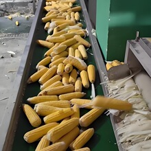 üʳ׼ӹaŴ׼ӹOðƤCƯCϴC