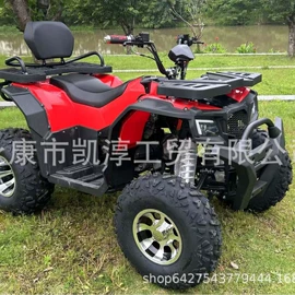 沙滩车;其他非机动车