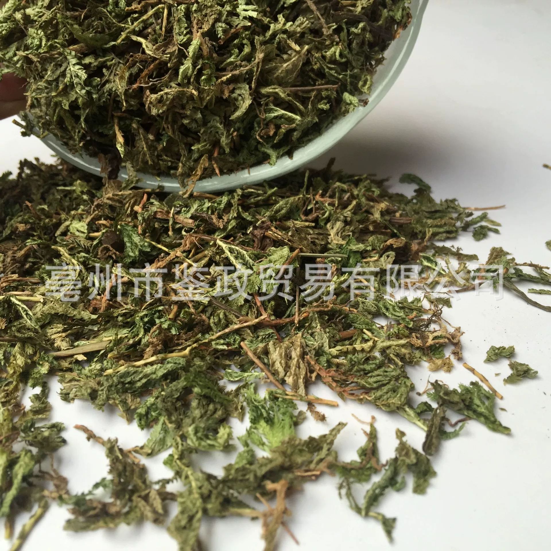 Shi Shang Bai Dried Selaginella Whole Herb 500g Traditional Chinese Herbal Tea Ingredient quality and texture