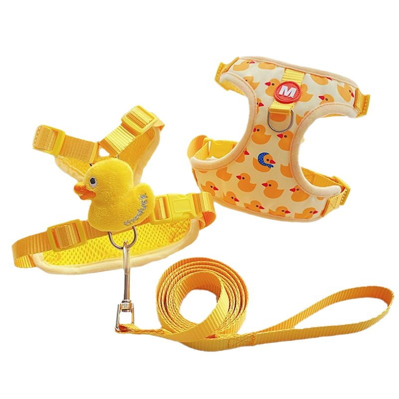 Correa de gato cuerda de gato anti-rotura cuerda de perro chaleco cuerda de perro Salida de gato Internet celebridad caminando cuerda de gato