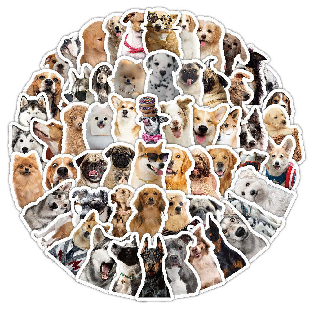 1 Set Dog Cat Learning PVC Self-adhesive Cute Stickers display picture 26